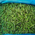 IQF Frozen Green Asparagus Spears, Center Cuts